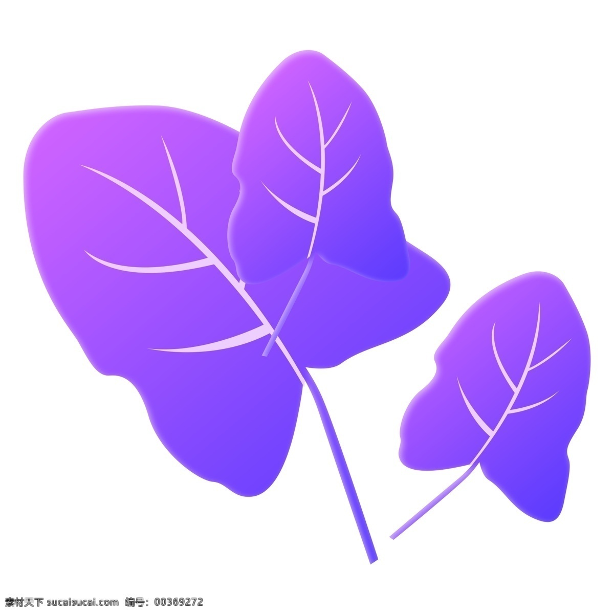 紫色 树叶 卡通 装饰 免 抠 图 叶子 插画 免抠图 紫色树叶
