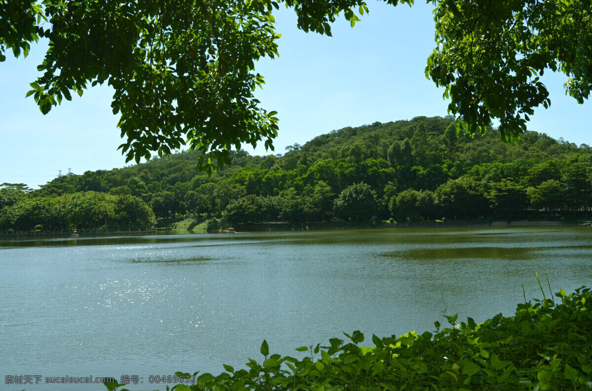 湖景 山 树 湖 绿色 蓝天 黑色