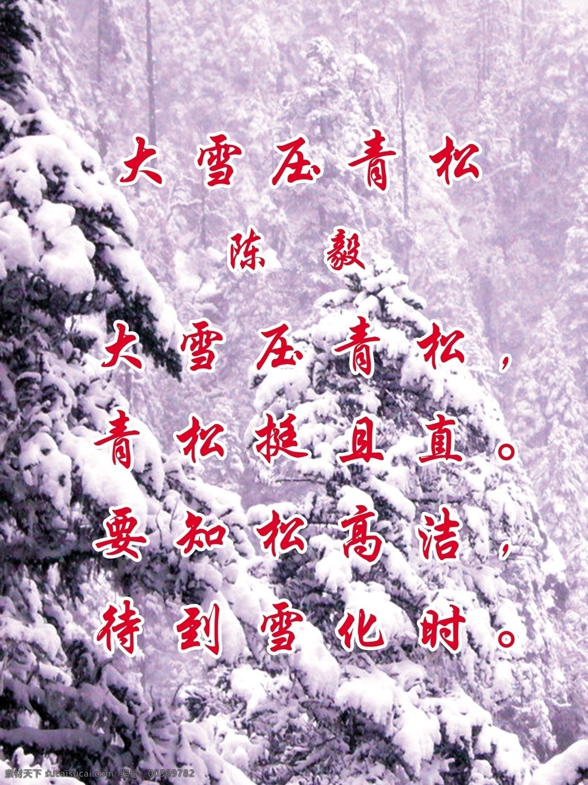 校园文化 大雪压青松 陈毅 青松挺且直 要知松高洁 待到雪化时 校园文化建设 其他模版 广告设计模板 源文件