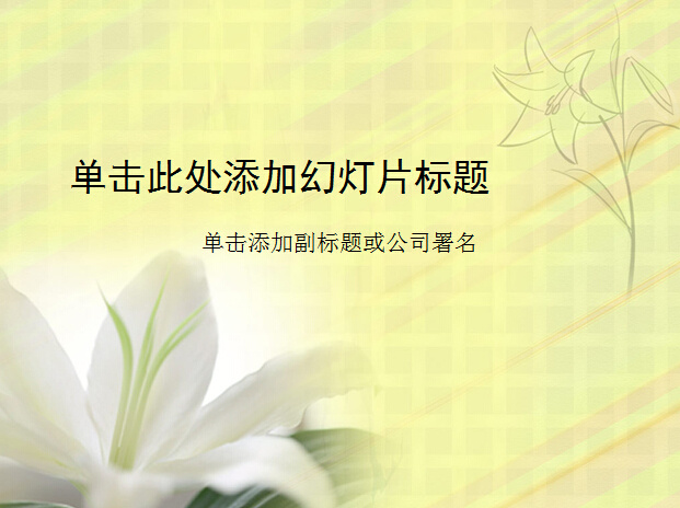黄色 百合花 背景 模板 白色百合花 植物 幻灯片