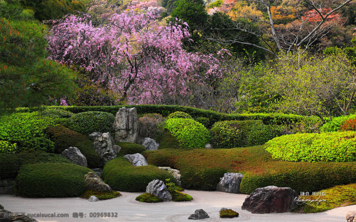 风景免费下载 风景 环境 树木 园林 枯山水 生活 旅游餐饮