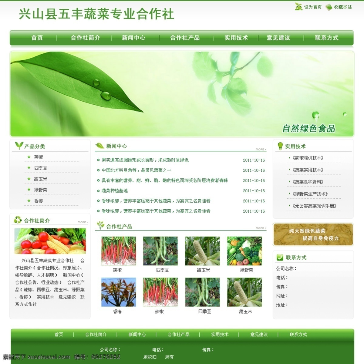 蔬菜 合作社 demo 纯天然 自然绿色食品 实用技术 合作社简介 提升免疫力 网页素材 网页模板