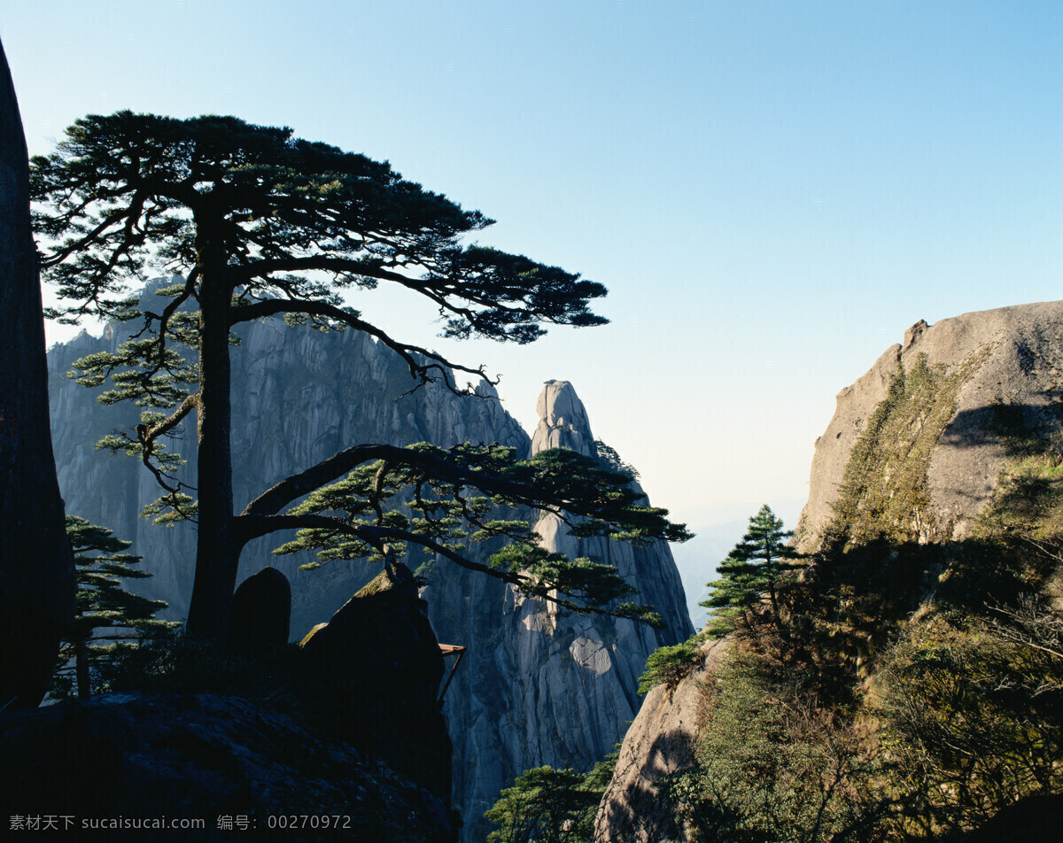 风景 图 风景名胜 风景图 高清 绿叶 美景 山水风景 滕蔓 自然风光 自然风景 自然景观 巨幅风景图片 家居装饰素材 山水风景画