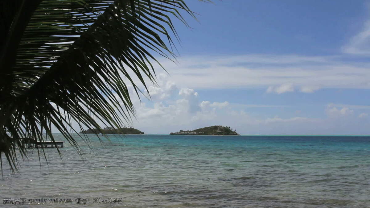 波拉 岛 motus 棕榈 股票 录像 海 热带 运动 棕榈树 波拉波拉岛 法属波利尼西亚 土语 水 视频 其他视频