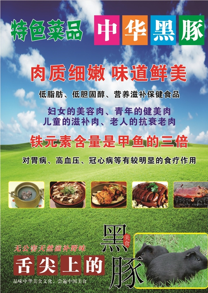 黑豚 特色菜品 特种养殖 农村养殖 野味 招贴设计