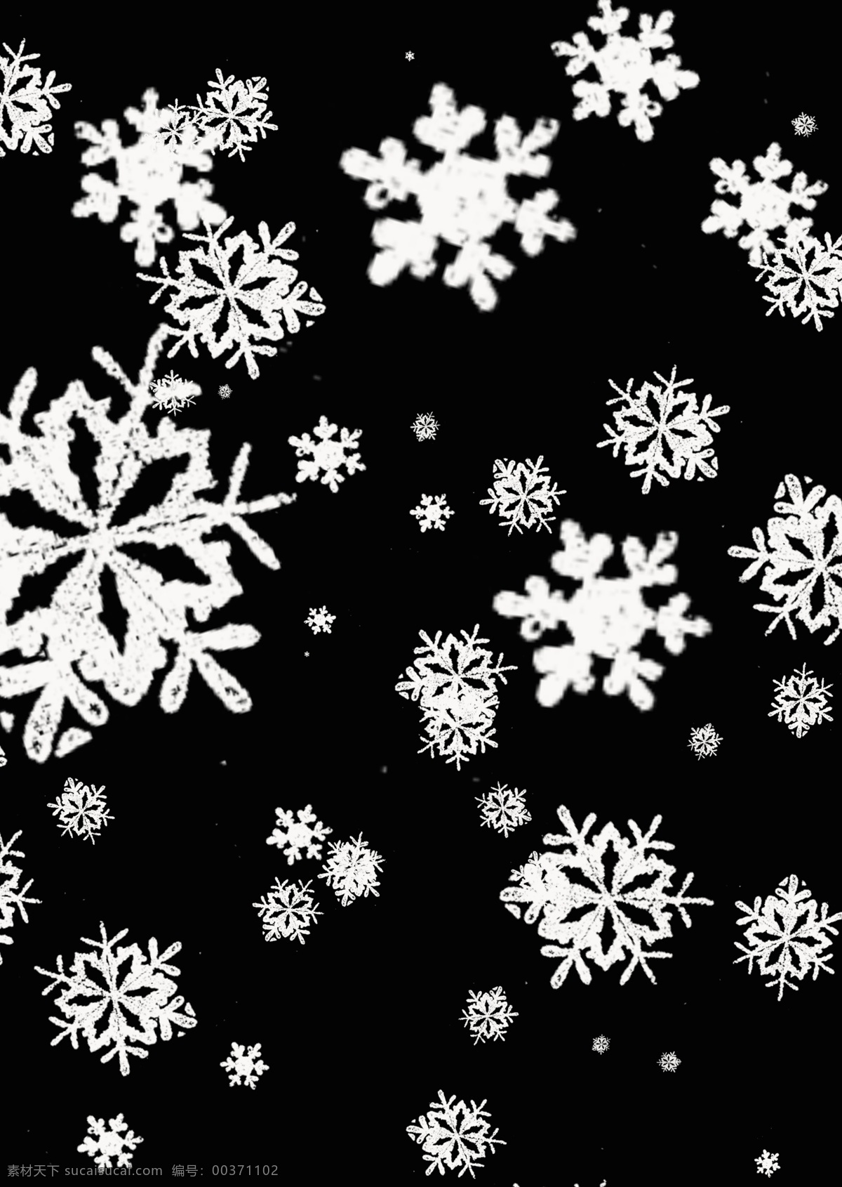 冬天 元素 雪花 图案 白色雪花 冬天元素 雪 雪花装饰