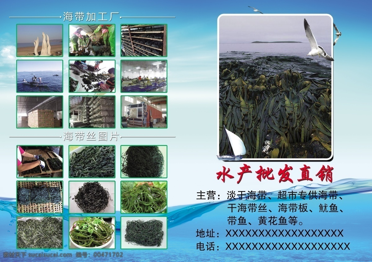 海带图片 蓝色背景 分层 海带彩页 青色 天蓝色