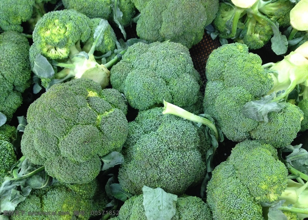 西兰花 新鲜西兰花 绿花菜 绿菜花 青花菜 绿花椰 美国花菜 菜花 蔬菜皇冠 绿色 蔬菜底图 蔬果底纹 蔬菜系列 静物 蔬菜 生物世界