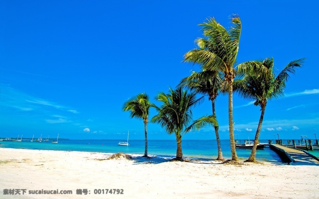 海滩 沙滩 海景 海洋 大海 建筑 栈桥 旅游 蓝天 白云 游艇 游船 地平线 清澈 旅行 休闲 海边 椰子树 仙境 天堂 梦幻 唯美 美景 风光 风景 景观 泰国 加勒比海 夏日 热带 晴朗 壁纸 国外旅游摄影 国外旅游 旅游摄影