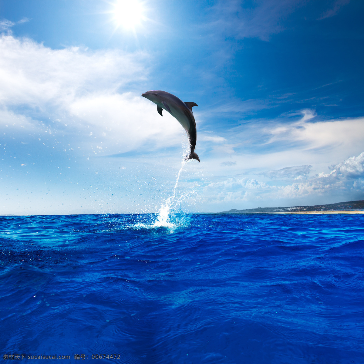 海豚表演 海豚 水下 动物 生活 水底 游泳 野生动物 哺乳动物 自然 海洋 蓝色 野生 阳光 光线 照射 海洋精灵海豚 生物世界 海洋生物