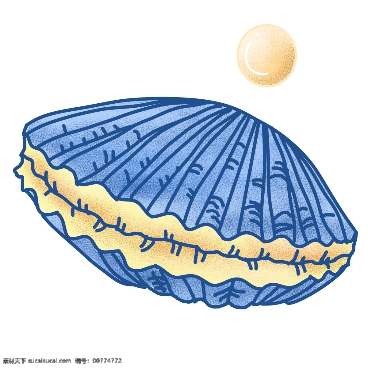 蓝色 海洋生物 小 物 生物 海洋