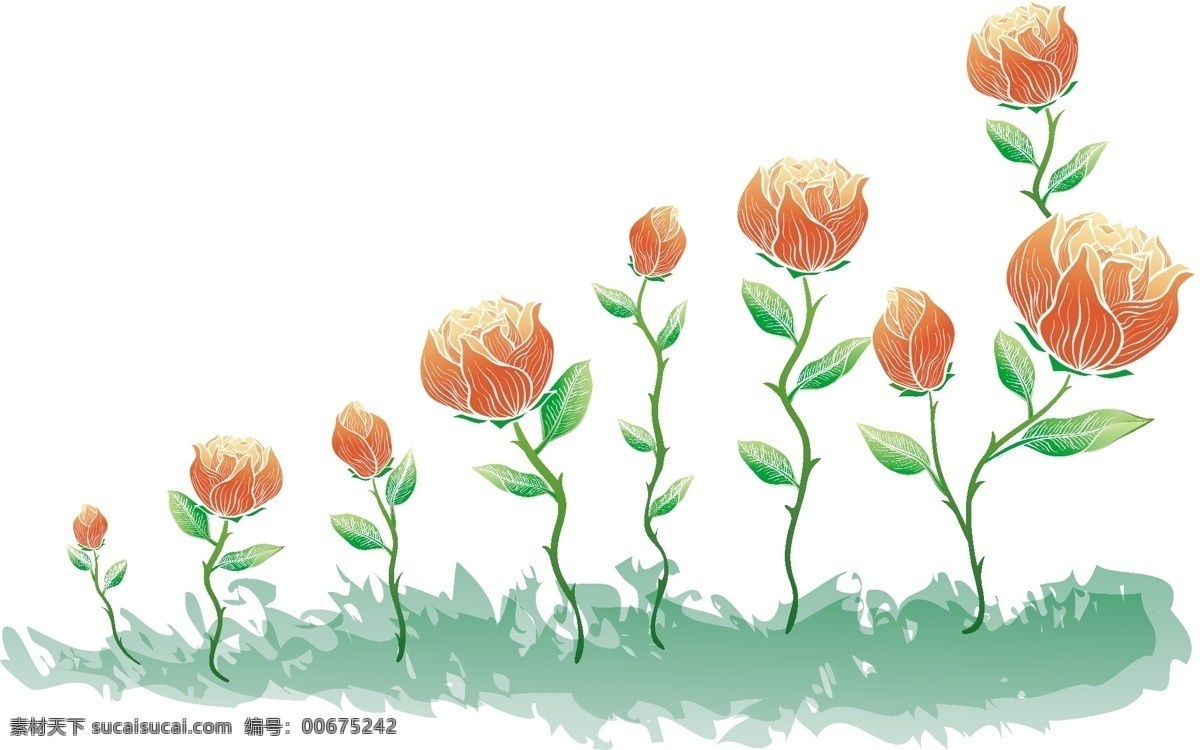 插画 花朵 草地 花 玫瑰花 叶子 矢量图