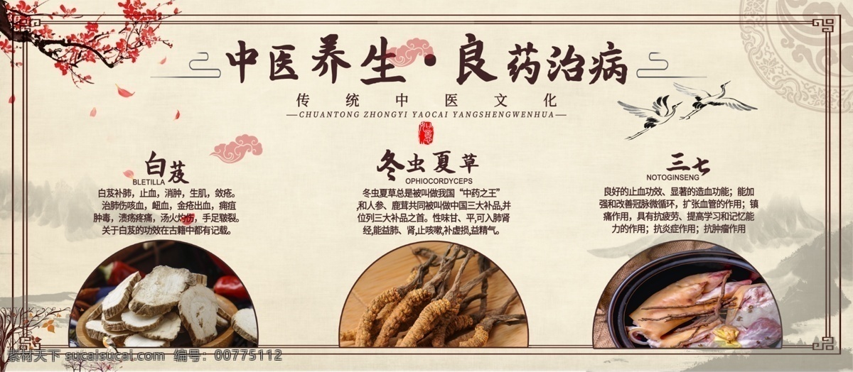 中国 风 中药 中医养生 文化 展板 中国风 中医 养生 复古 药材 安全公益展板