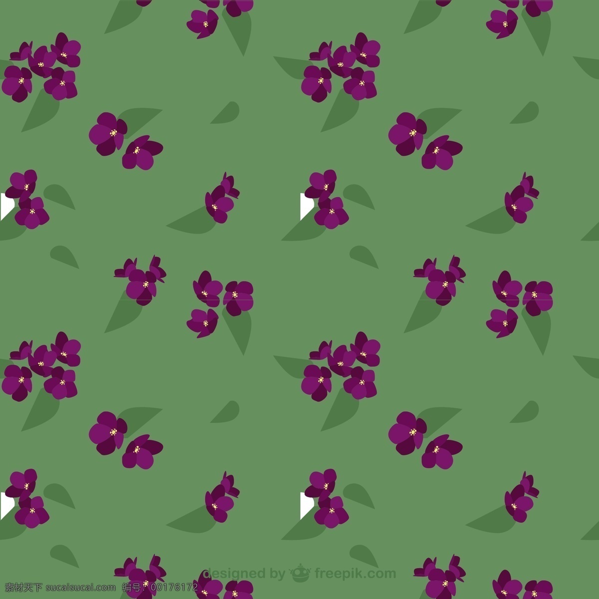 紫色 花朵 图案 花 自然 叶 花型 装饰 植物 开花 白色