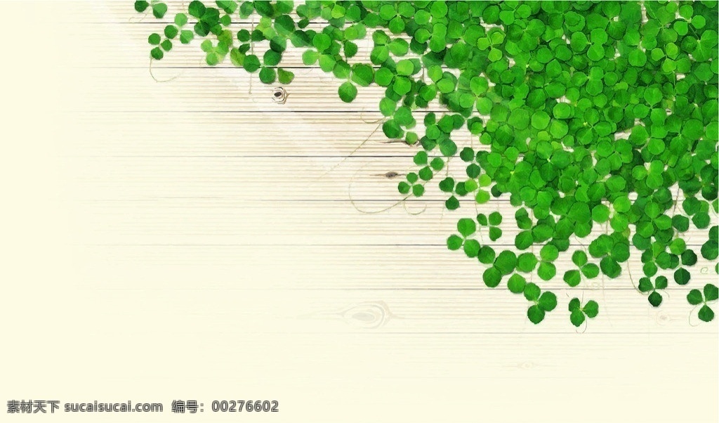 四叶草 植物 绿色 木板 藤 花草 生物世界 矢量