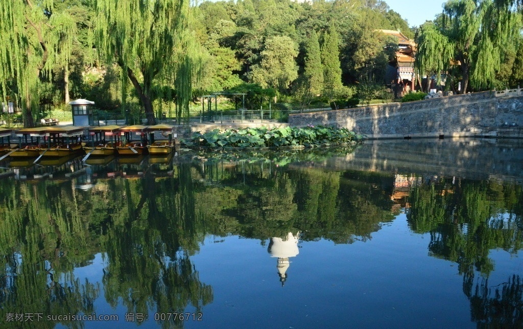 北海公园风景 清晨美景 荷花荷叶荷塘 北海公园美景 园林美景 白塔倒影 湖水 湖畔 倒影 公园美景 园林风景 园林 植物 花草 园林景观 建筑园林 园林建筑