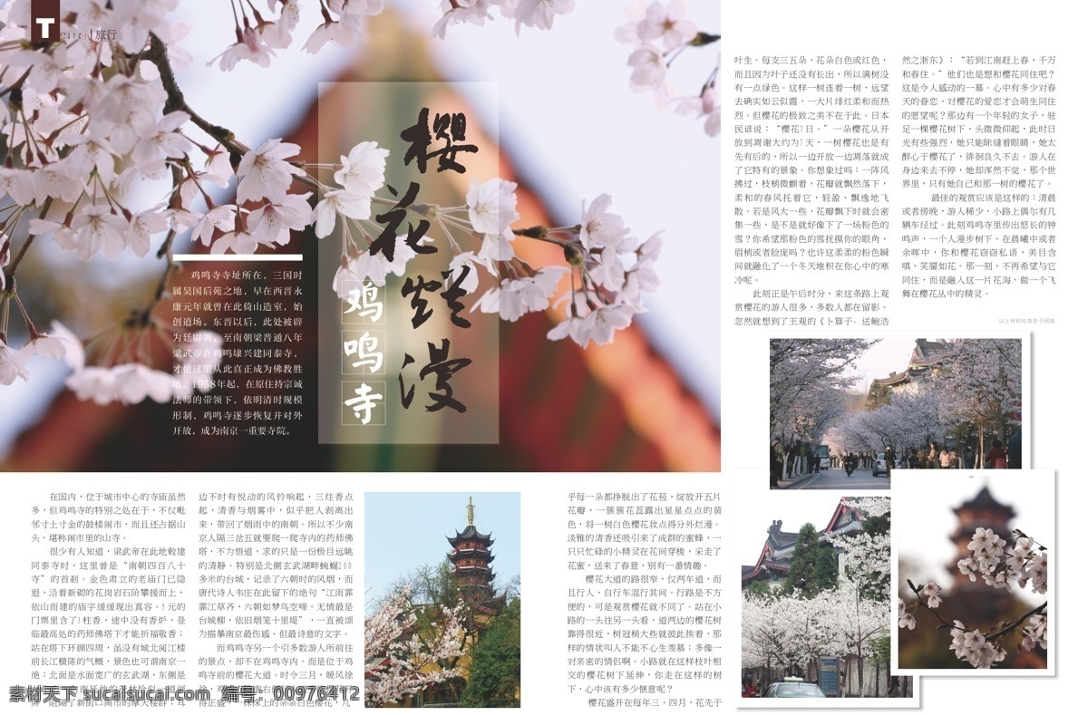 杂志版式设计 杂志设计 内页设计 版式 版面 排版 画册设计 企业内刊 专题 旅行 南京 鸡鸣寺 樱花 资讯 矢量