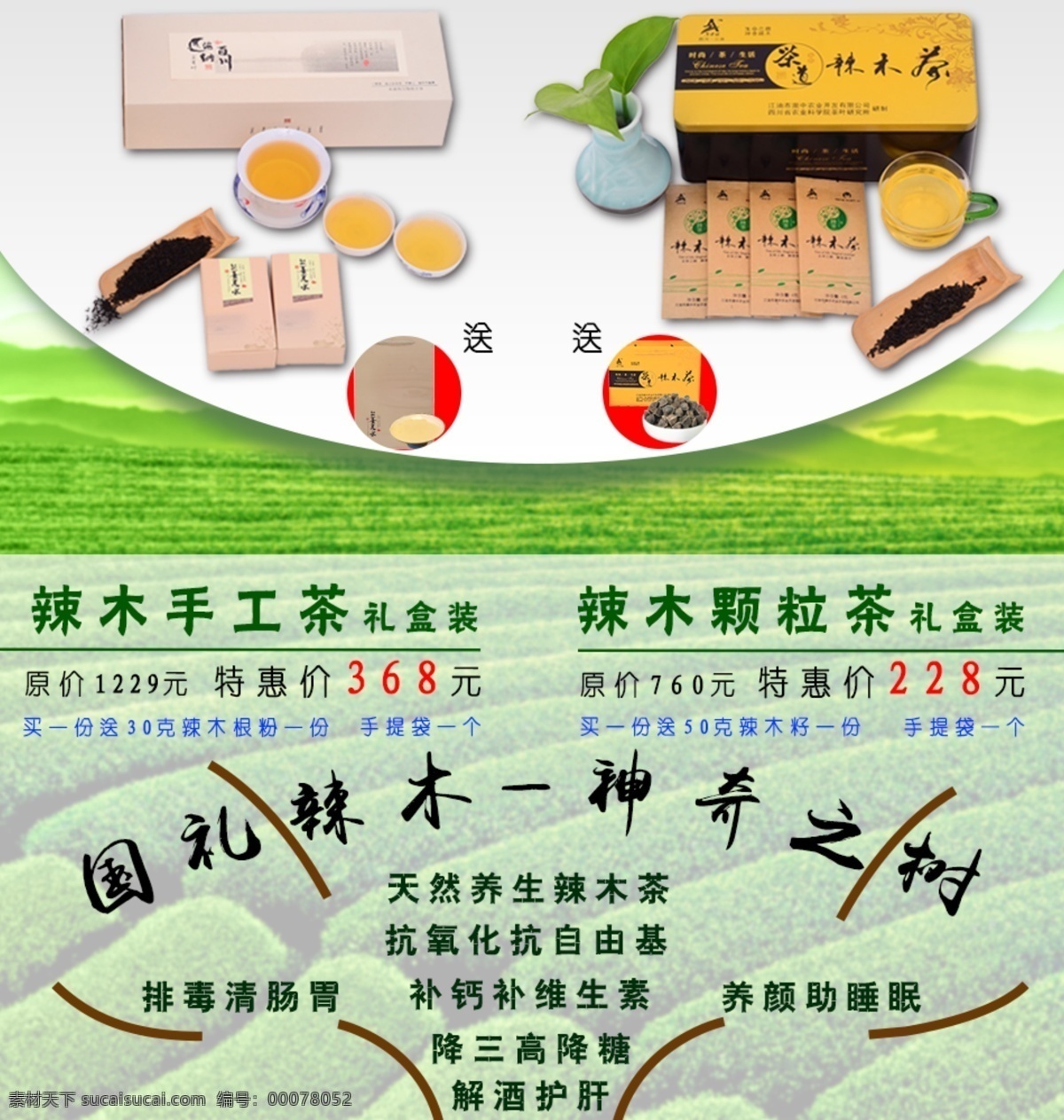 辣 木 养生 茶 电商 海报 淘宝 茶园 电商海报 绿色 买送 送礼 淘宝海报 辣木茶 茶田 原创设计 原创海报