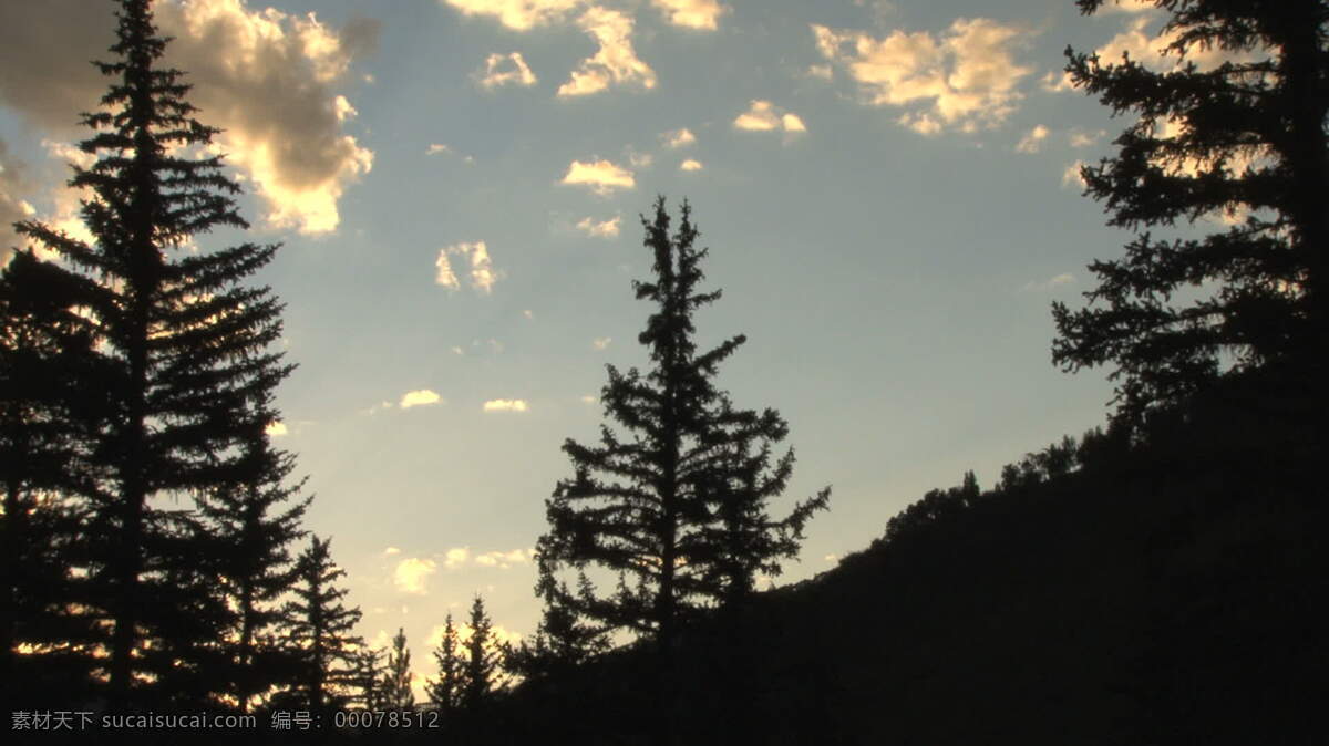 松树 夕阳 剪影 股票 录像 季节 美国 山 树 天空 夏天 阳光 科罗拉多州 黄昏的天空 黄色的