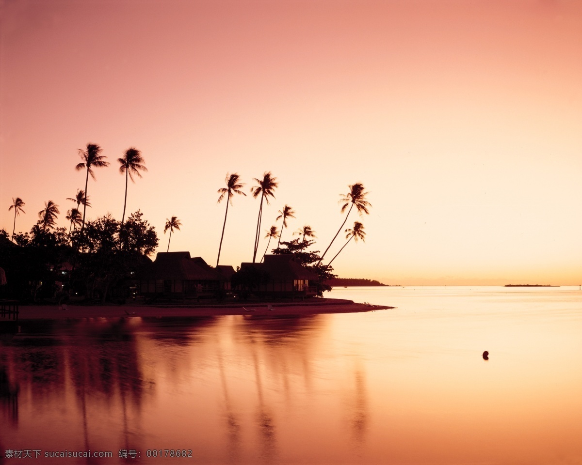 海滩 风光图片 海景 夕阳 椰树 自然风景 自然景观 滩风光 seacape 海上 花 psd源文件