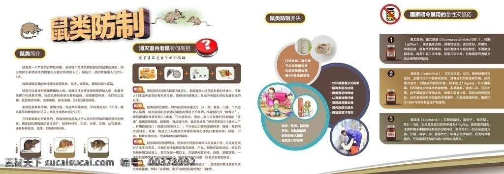 鼠类 防 制 宣传栏 鼠类防制 防鼠知识 海报 老鼠