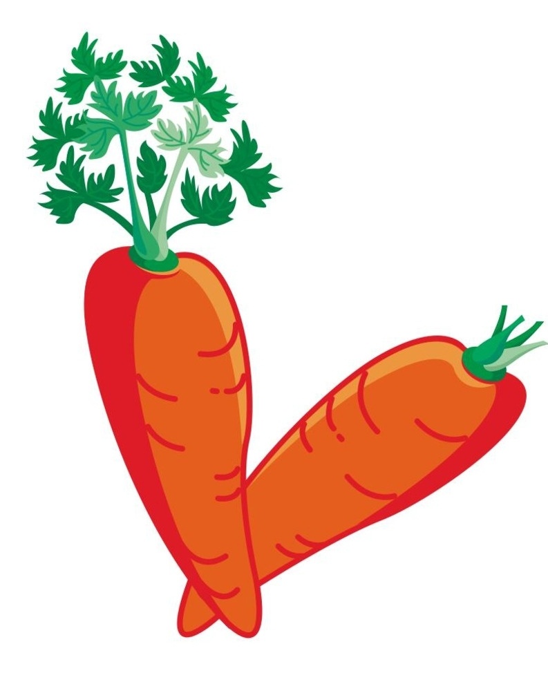 胡萝卜 或萝卜 萝卜 简笔画 线条 线描 简画 黑白画 卡通 手绘 标志图标 简单手绘画 矢量 生活百科矢量 生物世界 蔬菜
