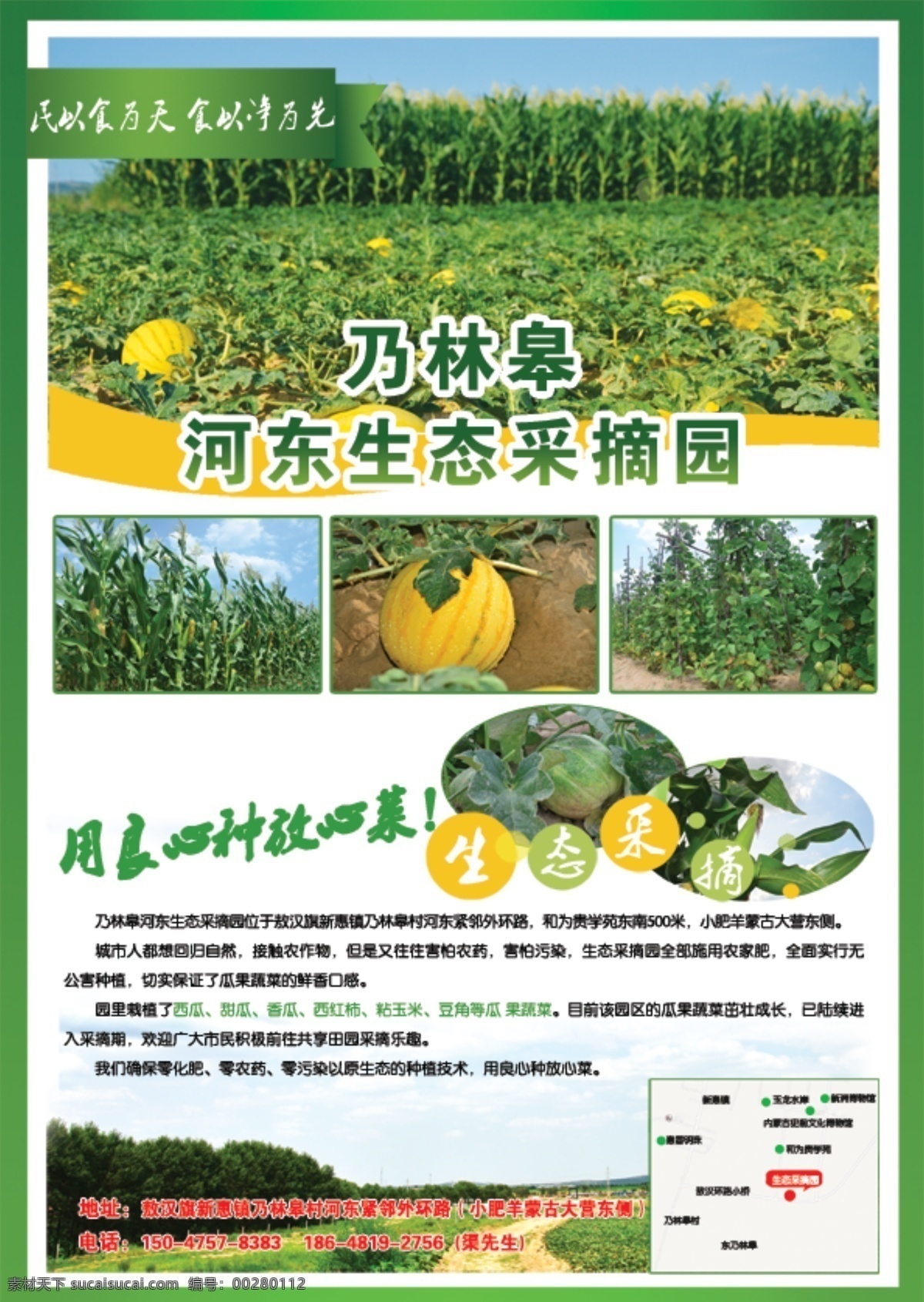 生态 采摘 园 绿色背景 原生态 民以食为天 食以净为先 良心放心食品 原创设计 原创海报