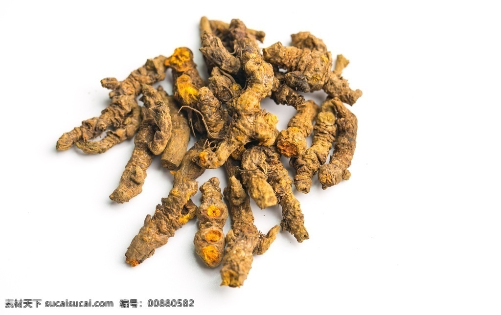 黄连 味连 川连 鸡爪连 王连 灾连 中药材 药材 食物 食材 食物原料 餐饮美食