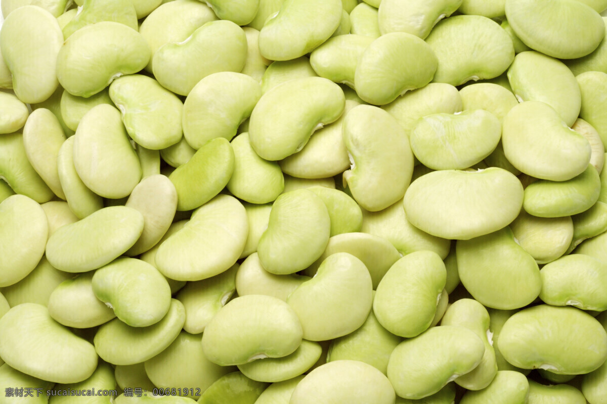 蚕豆 蚕豆背景 绿色豆子 豆子 绿色 蔬菜