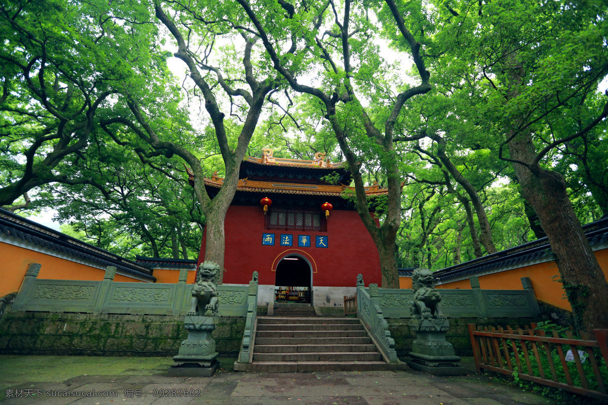 普陀山法雨寺 浙江 法雨寺 后寺 绿树 寺庙 古建筑 旅游 国内旅游 旅游摄影