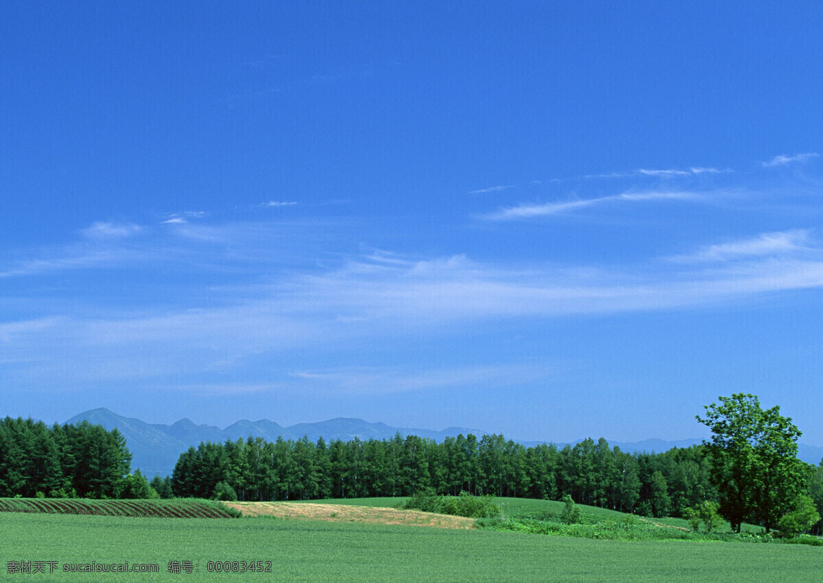 自然景观 草地 草原 蓝天 山丘 天空云彩 云彩 风景 生活 旅游餐饮