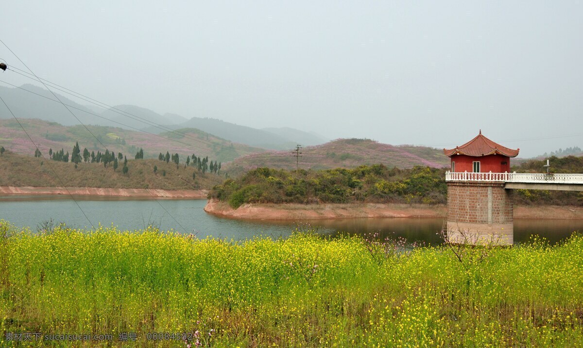 油菜花 花草地 黄花 三月三 山水 山水风景 小河 芸苔 菜籽花 山乡 自然景观 psd源文件