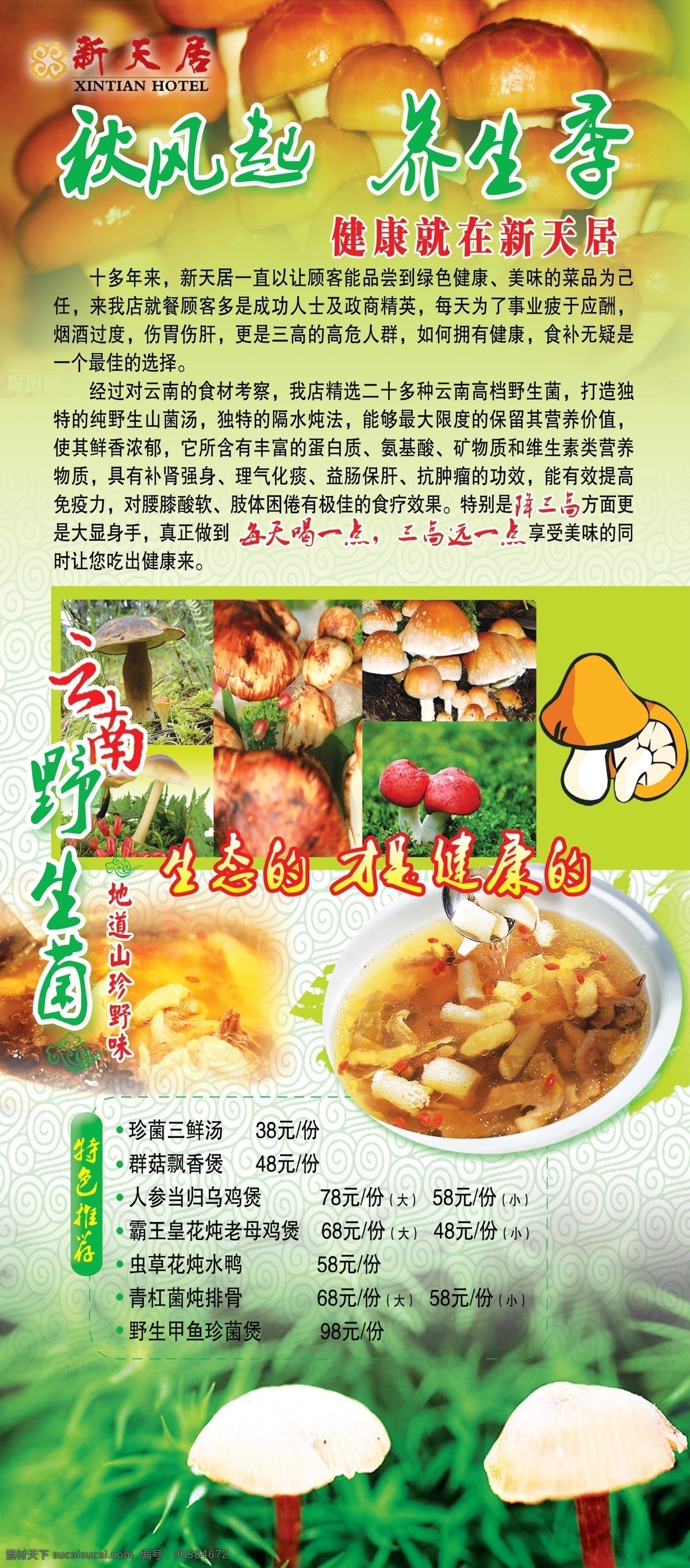 云南野生菌 蘑菇 山珍野味 卡通蘑菇 菌 酒店展架 蘑菇汤 分层 源文件