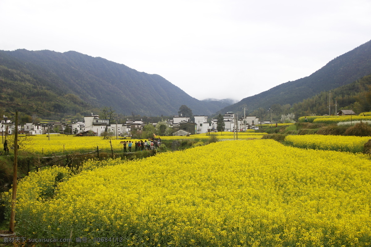 婺源风光 婺源风景 乡村自然风光 婺源 油菜花 婺源摄影 婺源游记 江西婺源 乡村摄影 古镇 小镇 乡村 田园风光 古徽州 风景 江西风景 婺源油菜花 旅游摄影 国内旅游