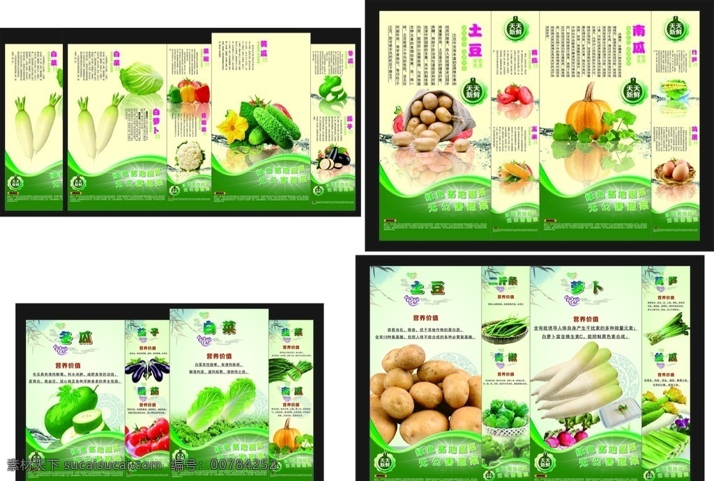 蔬菜基地广告 蔬菜 简介 土豆 萝卜 茄子 冬瓜 南瓜 室内广告设计