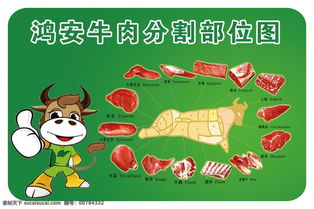 牛肉分割图 牛 分割部位图 卡通牛 矢量图牛 绿色背景