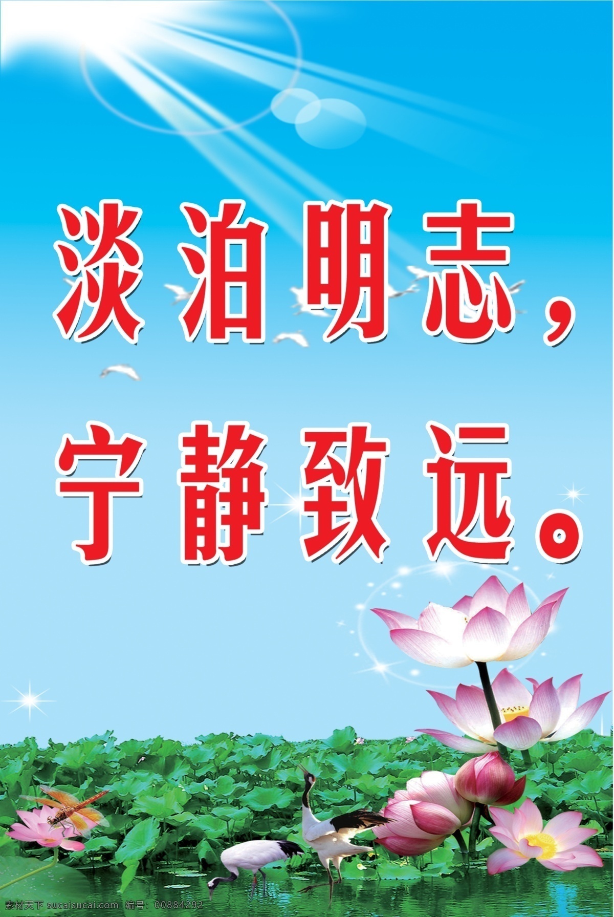 白鹤 标语展板 广告设计模板 和平鸽 荷花 荷花池 蓝天 蜻蜓 校园文化 标语 展板 模板下载 源文件 亮点星星 太阳 阳光 展板模板 其他展板设计