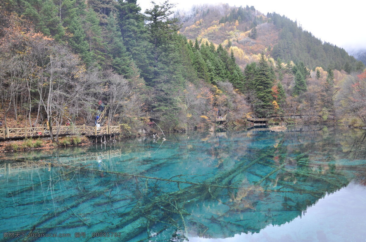 九寨沟 九寨 水 阿坝州 藏族 国内旅游 旅游摄影