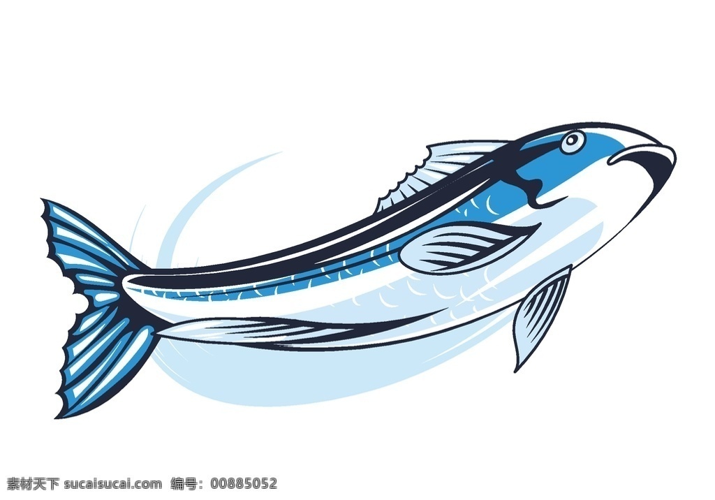 鱼类手绘插画 海洋鱼 鱼 鱼类 装饰画 花鸟画 插画 生物 手绘鱼类 鱼类插画 插图 元素