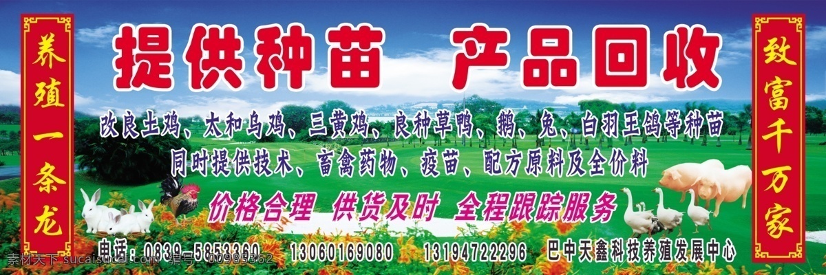 提供种苗 产品回收 店招 养殖 风景 猪 鸭 兔 背景素材 分层 源文件
