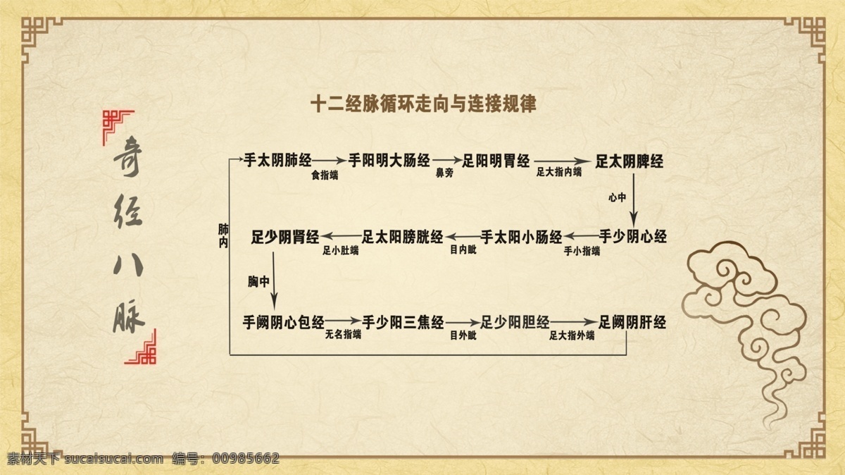 十二经脉循行 十二经脉 循行 背景 中医 奇经八脉 中医学 分层