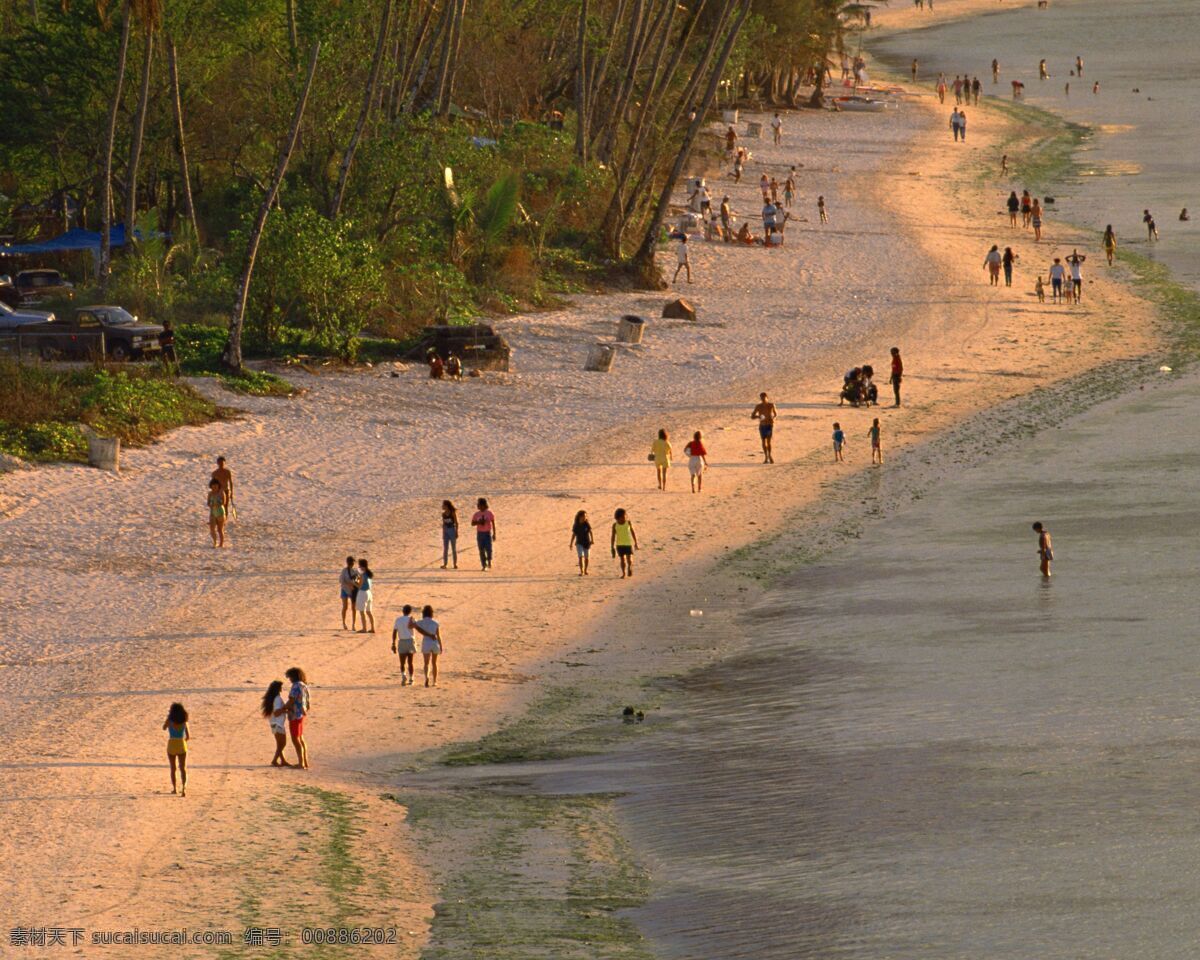 夏威夷 关岛 海边 海滩 人 摄影图库 树 自然风景 自然景观 夏威夷关岛 psd源文件