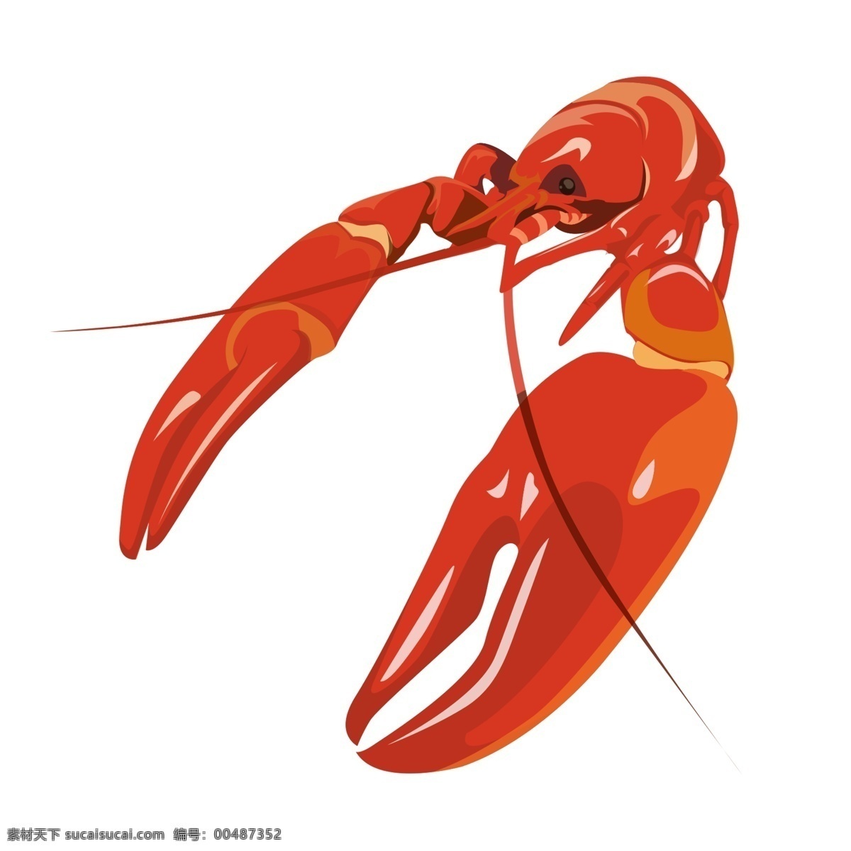 红色 小 龙虾 插画 红色的龙虾 卡通插画 动物插画 龙虾插画 深海龙虾 淡水龙虾 红色的蟹钳