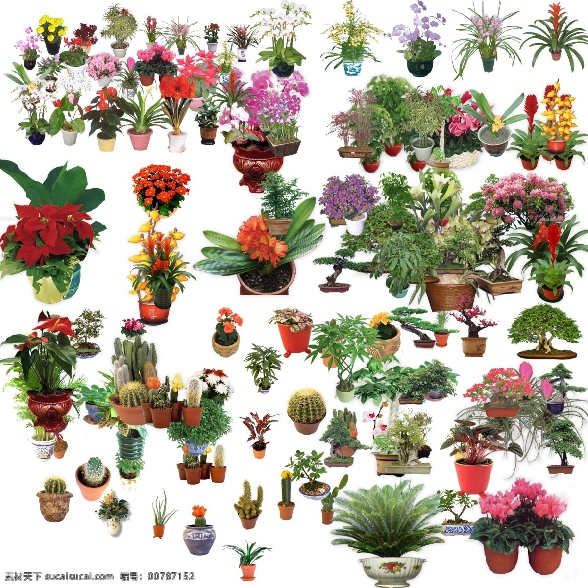 花卉盆景 花卉 花盆 景观 树 分层 环境设计 景观设计