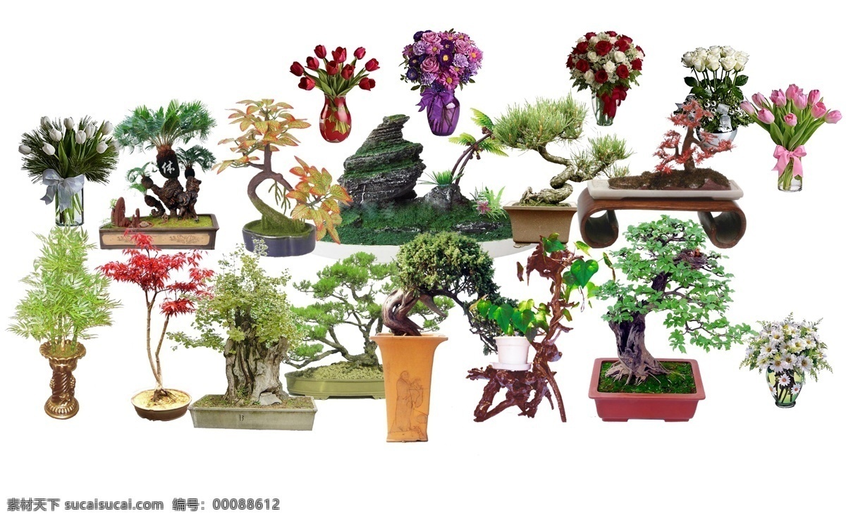 室内 花瓶 植物 造景 常用 灌木 树种 园林 植物花草 柳树 盆景 后期素材 后期 分层 源文件
