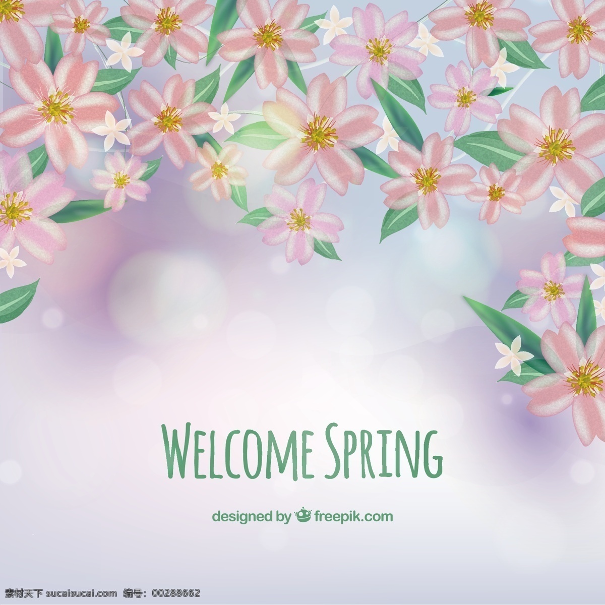春天鲜花背景 背景 花朵 春天 欢迎 樱桃 开花 樱花 盛开 怒放
