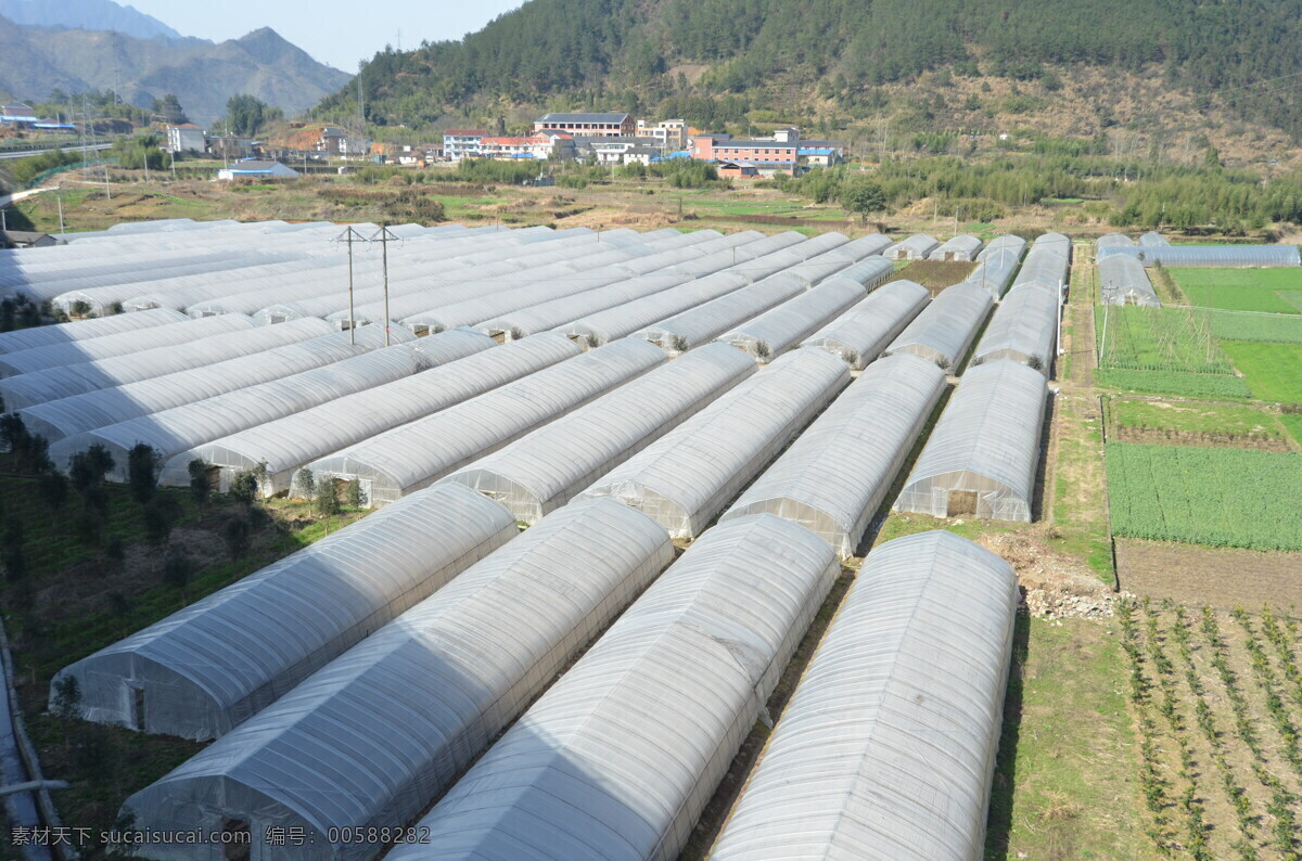 蔬菜基地 大棚 基地 蔬菜种植 蔬菜大棚 自然风景 旅游摄影