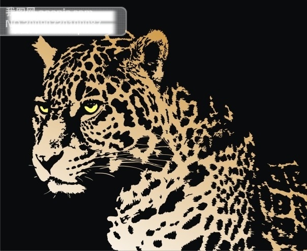 凶猛 老虎 2009 背景 动物 生物 世界 矢量 矢量图 野生动物 最新 凶猛老虎