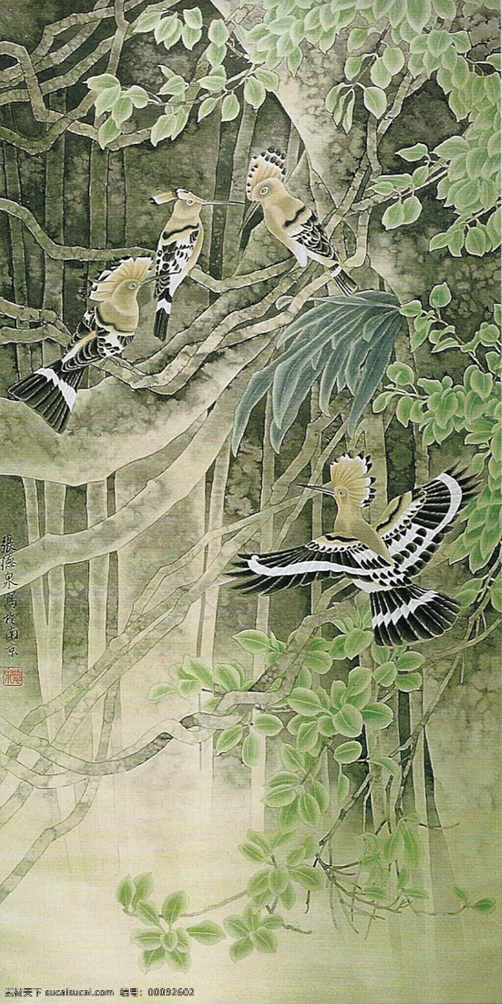 热带雨林 榕树 戴胜鸟 国画 工笔画 花鸟画 书画 绘画 张德泉 绘画书法 文化艺术