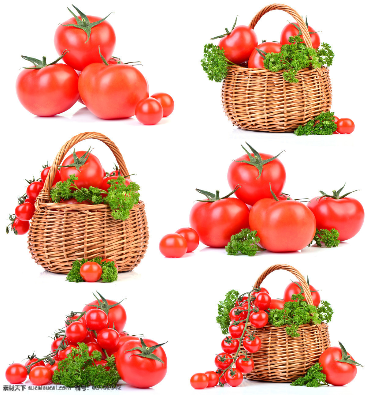 西红柿番茄 番茄 西红柿 蔬菜 菜篮 果篮 瓜果 生物世界 白色